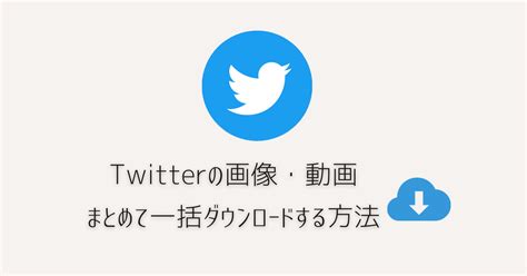 twitter ダウンローダー|ツイッターpcダウンロード.